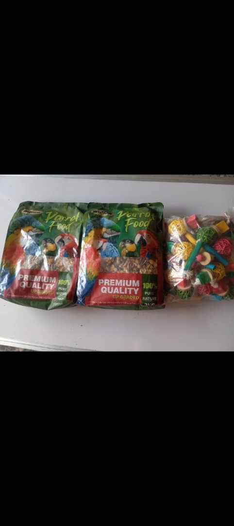 Parrot Mixed Seed Food