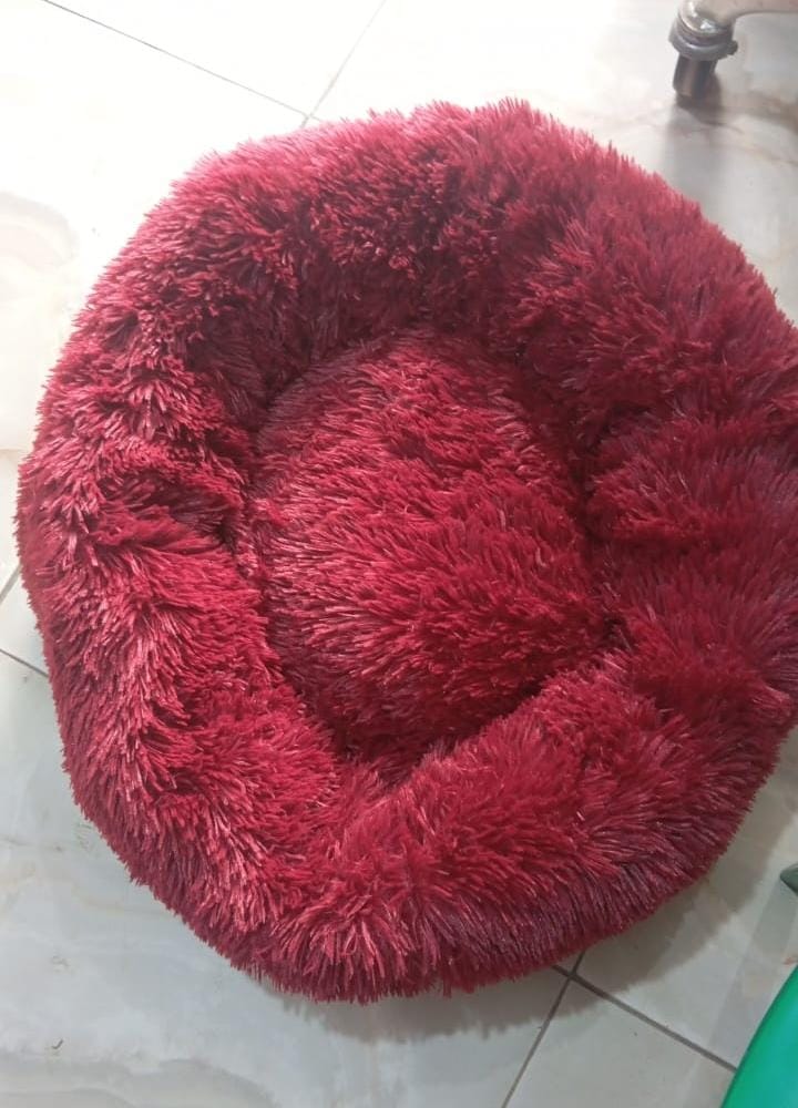 Pet Bed