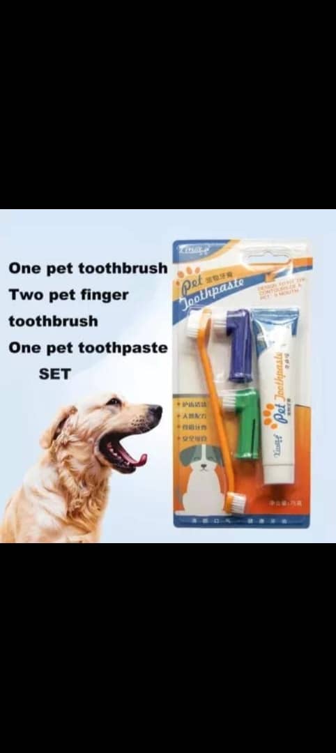 Pet Brush and Paste