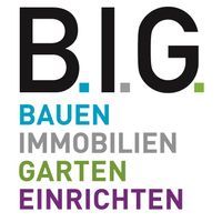 B.I.G. logo