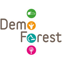 Demo Forest logo