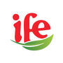 IFE China 2024 logo
