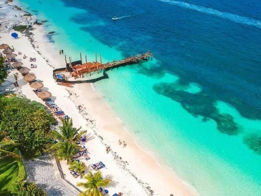 Playa Tortugas Cancún: Todo lo que debes saber