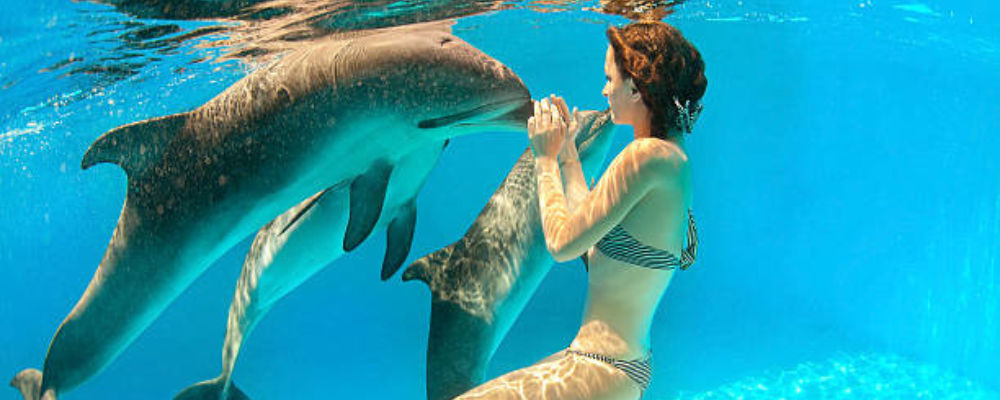 woman kissing dolphin