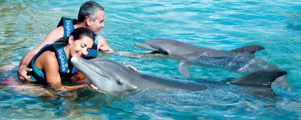 delphinus cancun