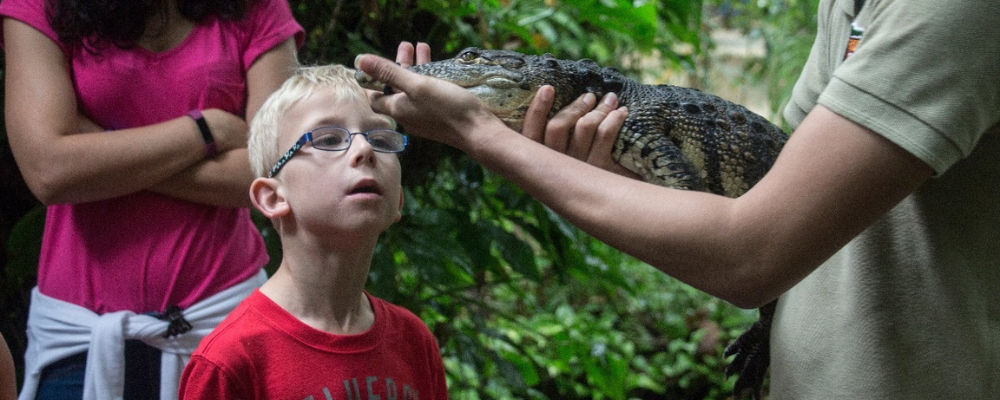 crococun zoo