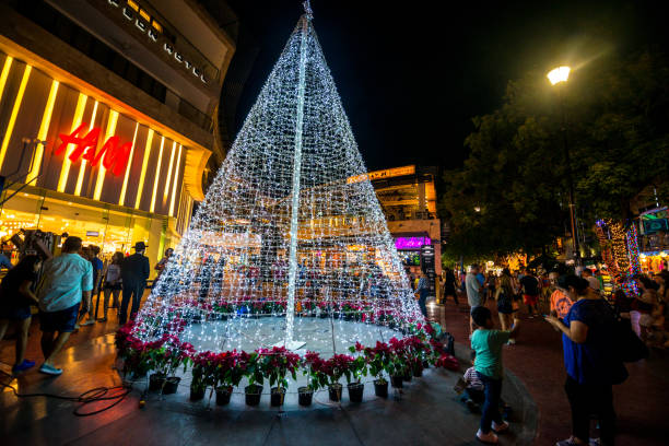 Fifth Avenue Playa del Carmen Christmas