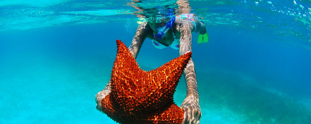 snrokeling in saona island