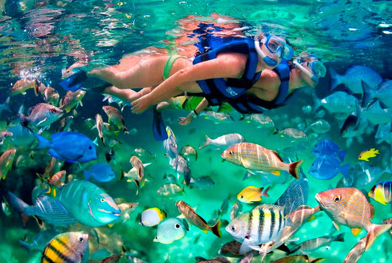 Snorkel en Xel Ha