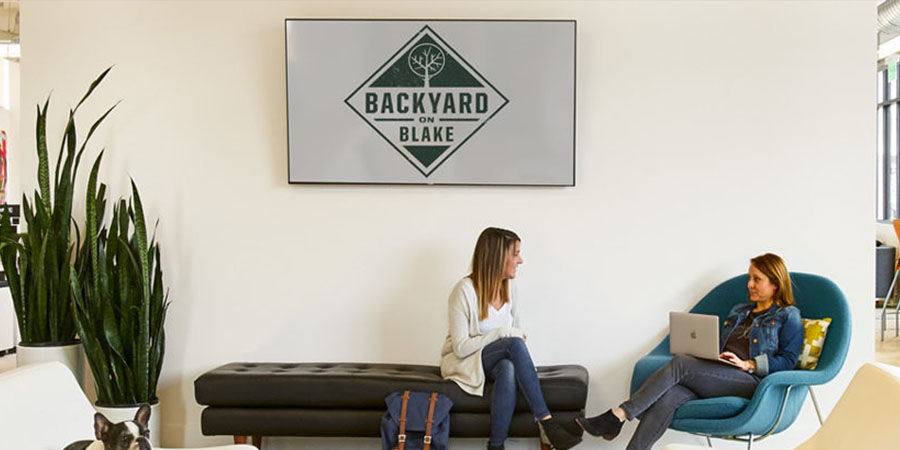Backyard On Blake Preview