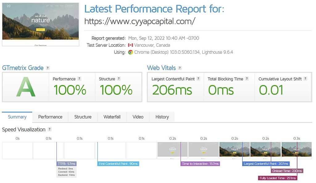 gtmetrix with speed optimization