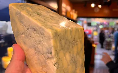 queijo-com-spirulina-homenageia-a-amazonia-e-pode-ser-degustado-no-mercado-municipal