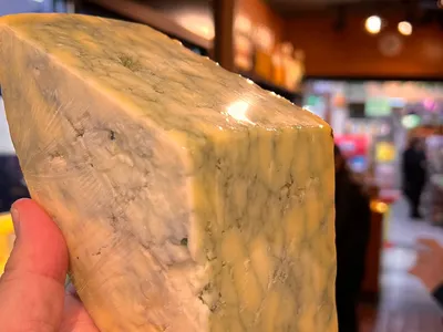 queijo-com-spirulina-homenageia-a-amazonia-e-pode-ser-degustado-no-mercado-municipal