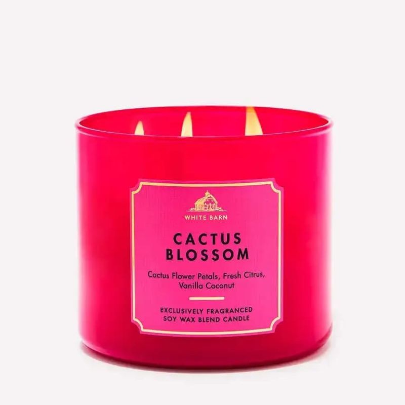 Cactus Blossom 3-Wick Candle - Bath & Body Works - Euphoria Glam 