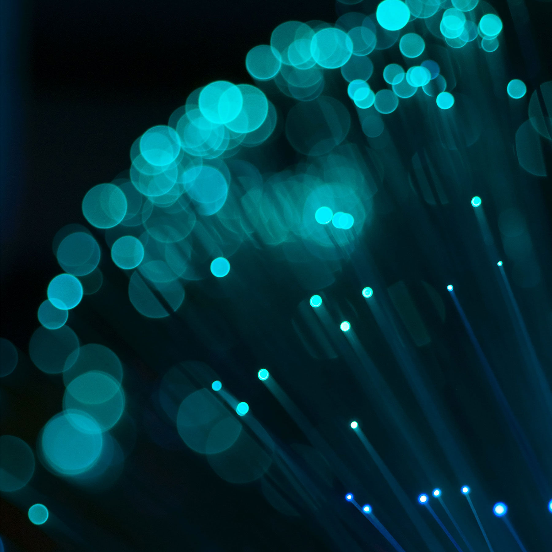 Everything you need to know about Fiber Optic Internet | Article ...