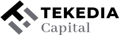 Tekedia Capital