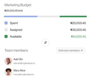 Marketing budget snapshot