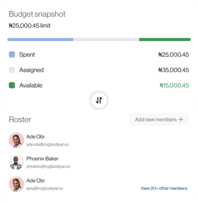 Budget snapshot