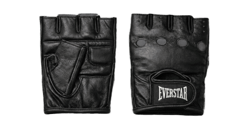 Gym Gloves — Gym | Everstar Sports