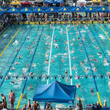 Importance of Swim Meets