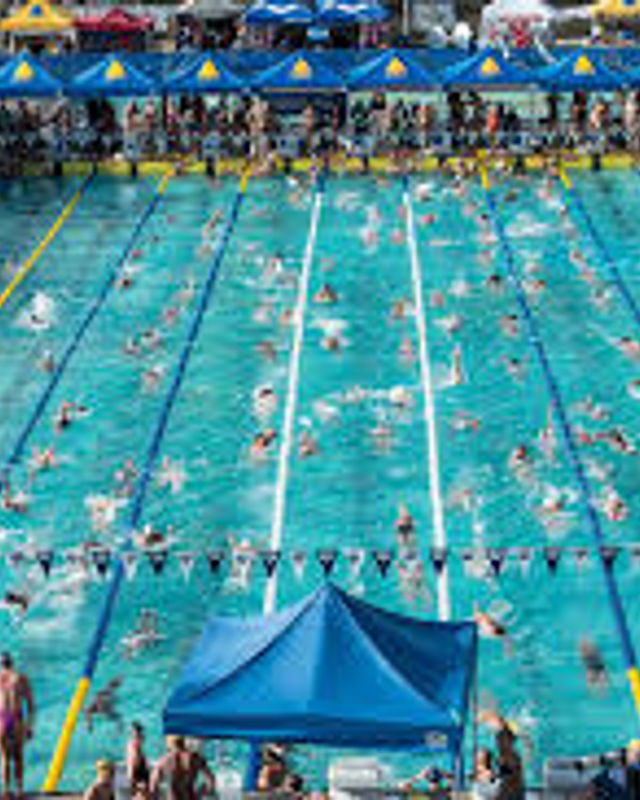 Importance of Swim Meets