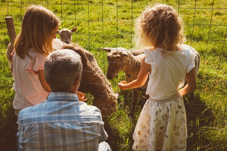 Gîte pour les familles