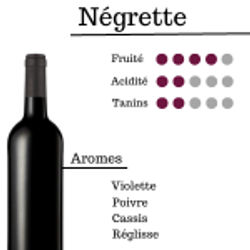 Information about the négrette grape variety