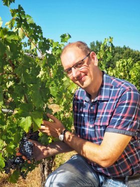 Château Clamens vineyard