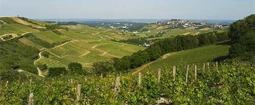 Sancerre