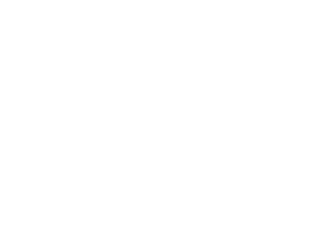 Logo innov van