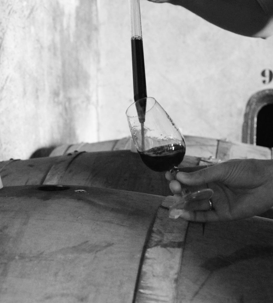 Wine maturation in barrels