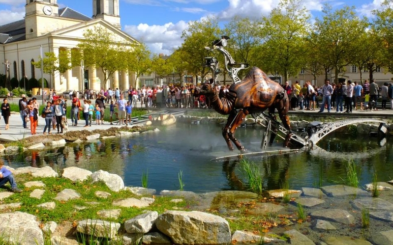 Les animaux de la place