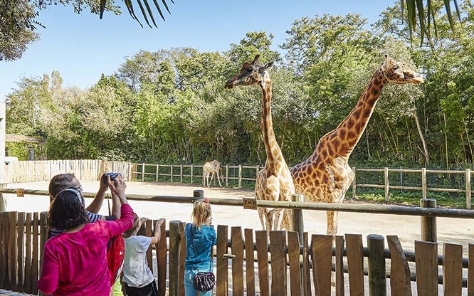 Le Zoo des Sables-d’Olonne