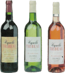 Cognac du vignoble thibeau