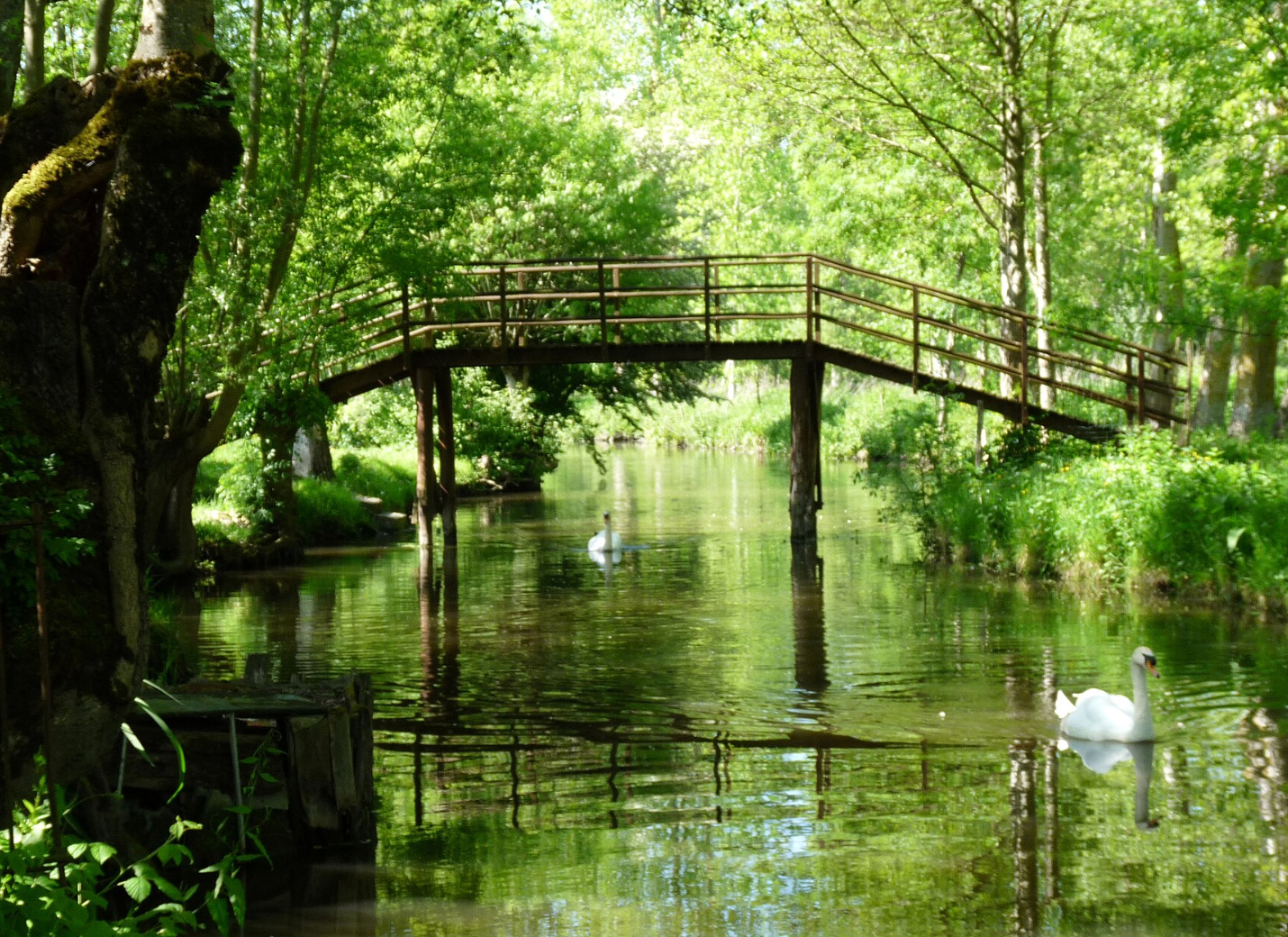 marais poitevin activite vendee estival