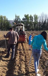 La famille Balcon dans les vignes