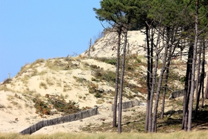 création de sites internet en Vendée