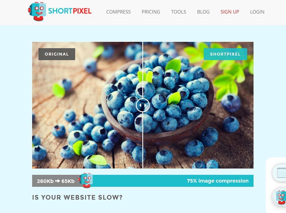 ShortPixel Review, Features, Pricing & Alternatives
