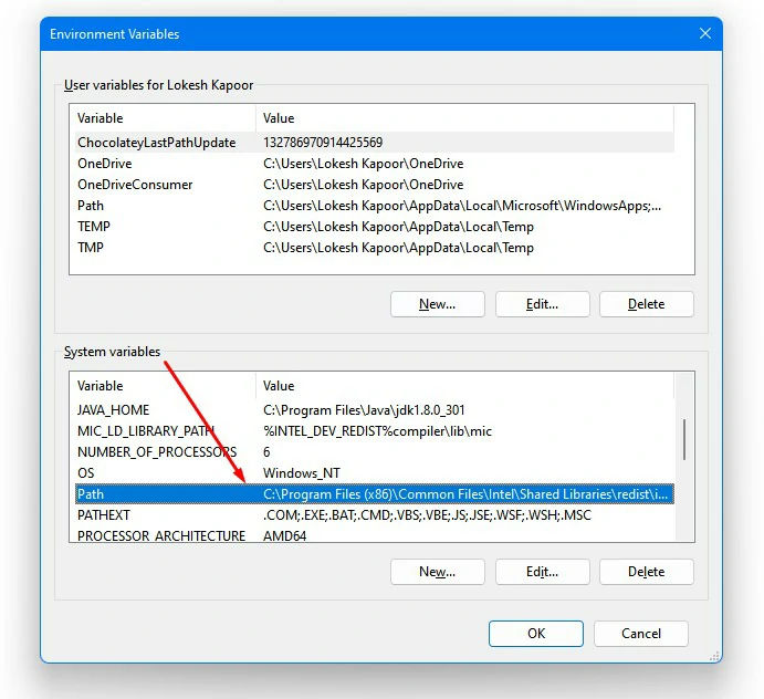 Environment Variables System Path