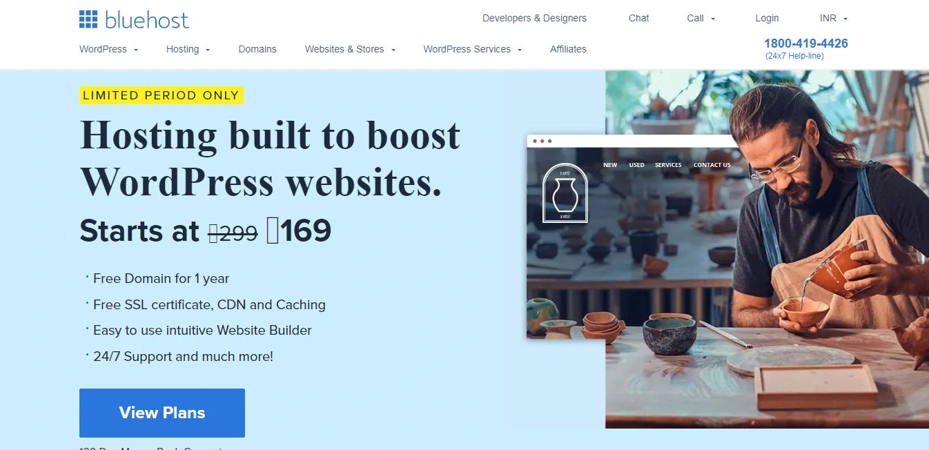 Bluehost website