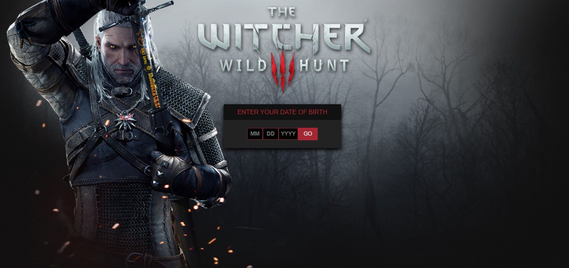 The witcher game