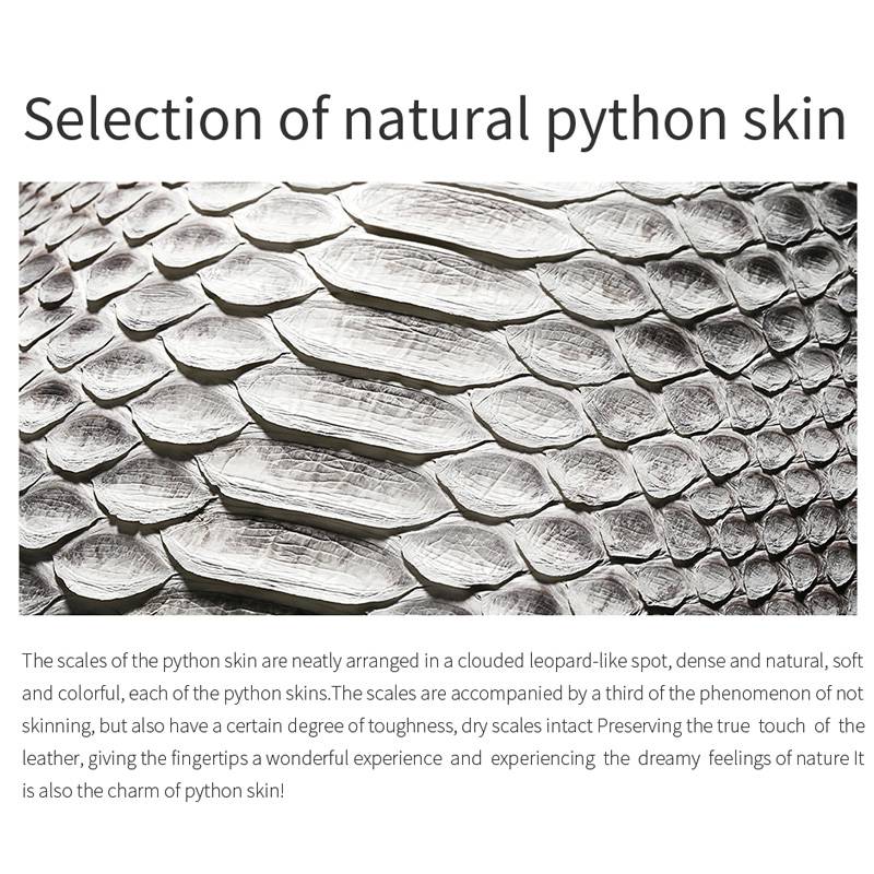 Python Skin