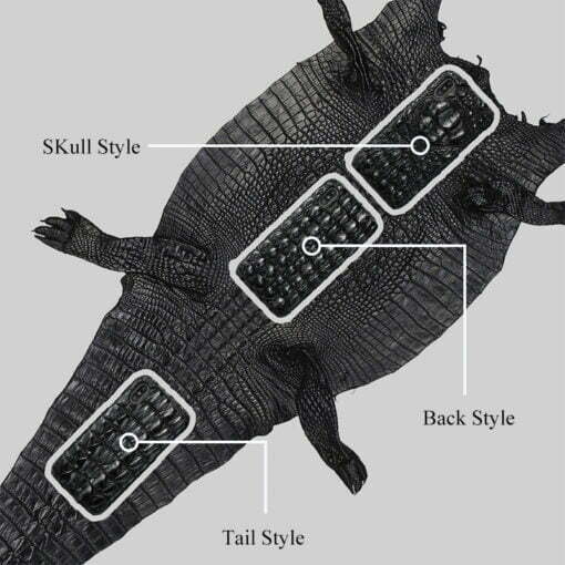 Genuine Crocodile Skin iPhone Case – Backbone Hornback