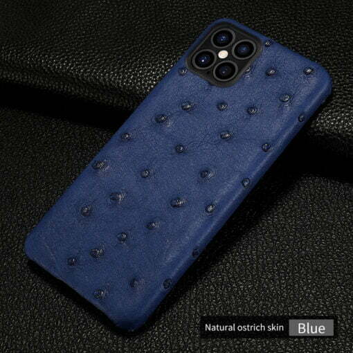 Blue Ostrich iPhone Case