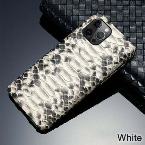 Python Snake Skin Case