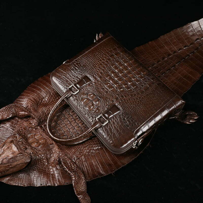 crocodilian leather