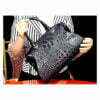 Natural Alligator Skin Women's Handbag Croc Shoulder Bag Black