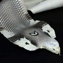 Cobra Snake Skin