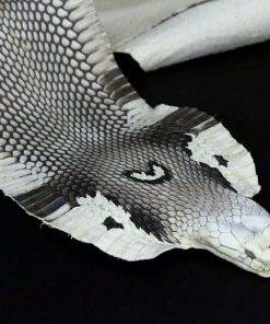 Cobra Snake Skin