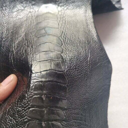 Ostrich leg leather